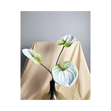 Ovation Lifestyle Vase Arrangements Bundle [Minimalist Theme]