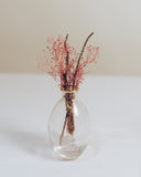 Ovation Lifestyle Mini Glass Vases Set - Design 7