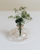 Ovation Lifestyle Mini Glass Vases Set - Design 9