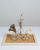 Ovation Lifestyle Mini Glass Vases Set - Design 4