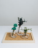 Ovation Lifestyle Mini Glass Vases Set - Design 9